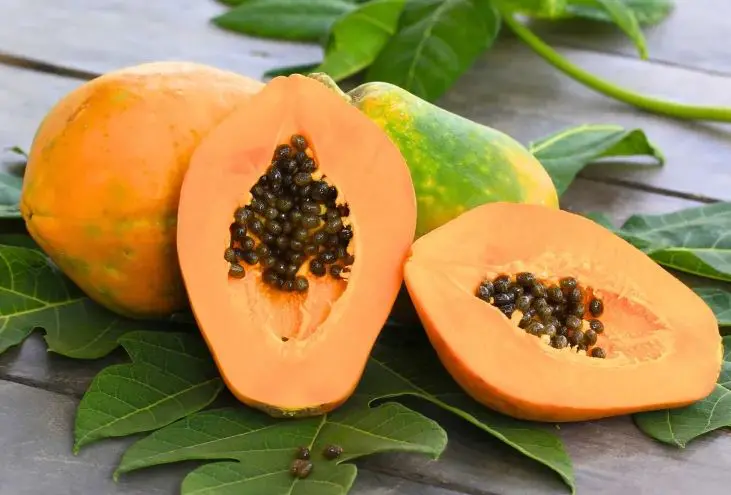 Cách chọn đu đủ xanh